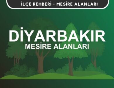 Diyarbakır Mesire Alanları Listesi - Kamp ve Piknik Yerleri