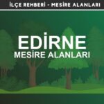 Edirne Mesire Alanları Listesi - Kamp ve Piknik Yerleri