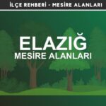 Elazığ Mesire Alanları Listesi - Kamp ve Piknik Yerleri