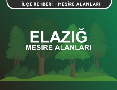 Elazığ Mesire Alanları Listesi - Kamp ve Piknik Yerleri