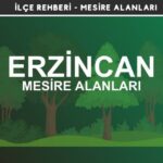 Erzincan Mesire Alanları Listesi - Kamp ve Piknik Yerleri