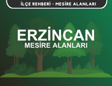 Erzincan Mesire Alanları Listesi - Kamp ve Piknik Yerleri