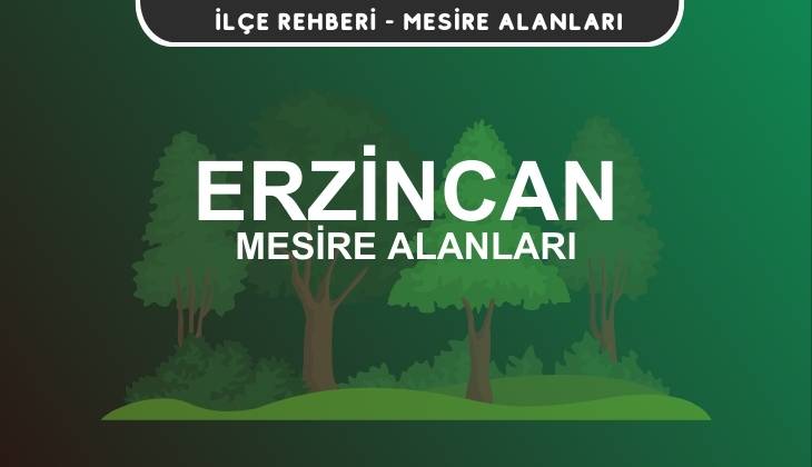 Erzincan Mesire Alanları Listesi - Kamp ve Piknik Yerleri