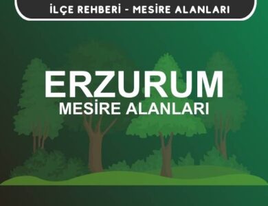 Erzurum Mesire Alanları Listesi - Kamp ve Piknik Yerleri