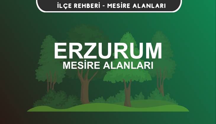 Erzurum Mesire Alanları Listesi - Kamp ve Piknik Yerleri