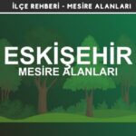 Eskişehir Mesire Alanları Listesi - Kamp ve Piknik Yerleri