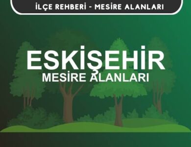 Eskişehir Mesire Alanları Listesi - Kamp ve Piknik Yerleri