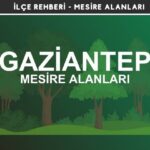 Gaziantep Mesire Alanları Listesi - Kamp ve Piknik Yerleri