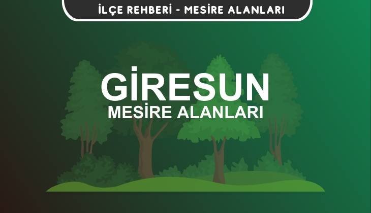 Giresun Mesire Alanları Listesi - Kamp ve Piknik Yerleri