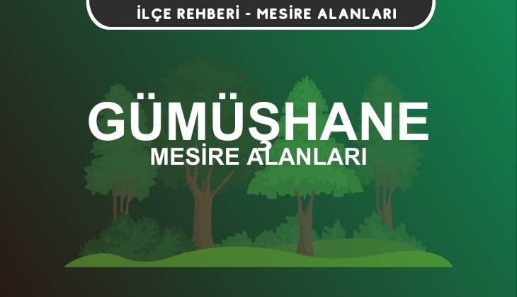 Gümüşhane Mesire Alanları Listesi - Kamp ve Piknik Yerleri