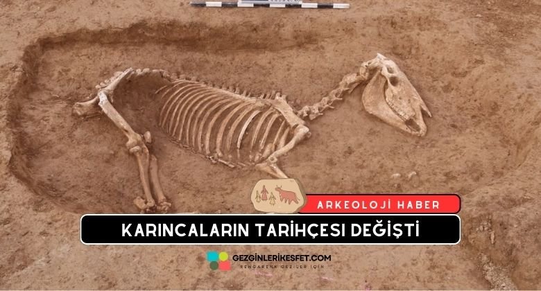 Roma Süvari Birliğine Ait At Mezarlığı Bulundu