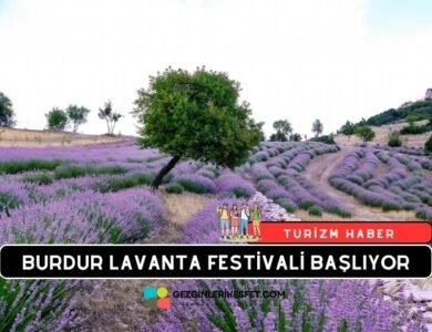 Burdur Lavanta Festivali Başlıyor