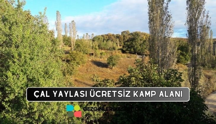 Çal Yaylası Kamp Alanı