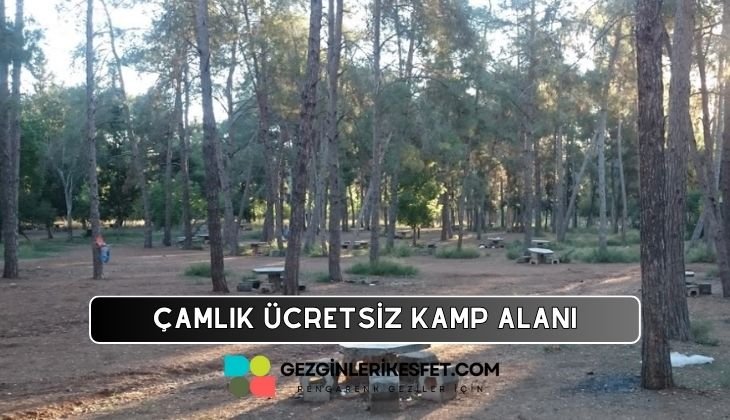 DSİ-Çamlık Piknik ve Ücretsiz Kamp Alanı