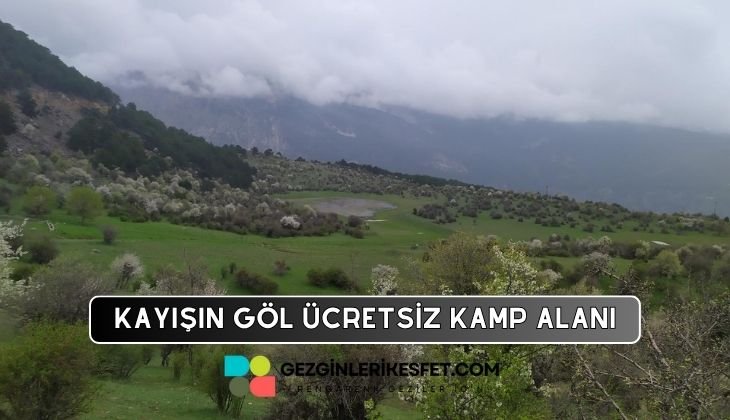 Depelarkası Kayışın Göl Kamp Alanı