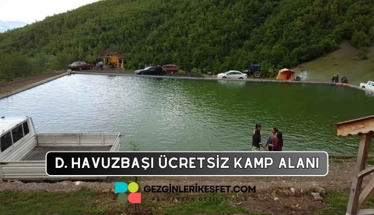 Dereli Havuzbaşı Kamp Alanı