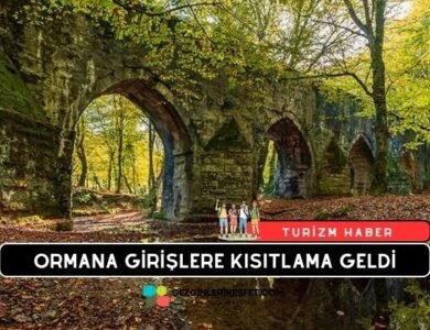 İstanbul'da Ormanlık Alanlara Giriş Yasaklandı