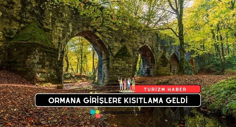 İstanbul'da Ormanlık Alanlara Giriş Yasaklandı