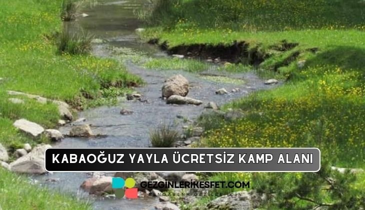 Kabaoğuz Yaylası Kamp Alanı