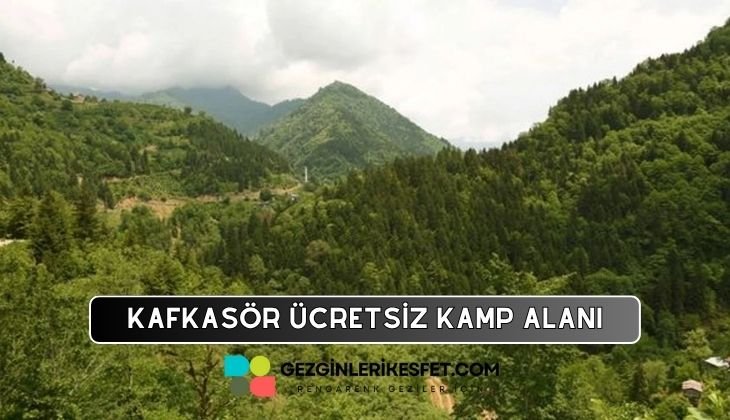 Kafkasör Ormaniçi Dinlenme ve Kamp Alanı