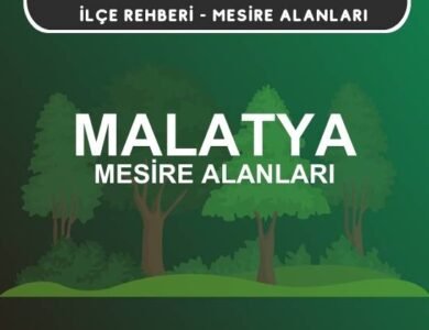 Malatya Mesire Alanları Listesi - Kamp ve Piknik Yerleri