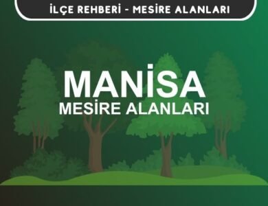 Manisa Mesire Alanları Listesi - Kamp ve Piknik Yerleri