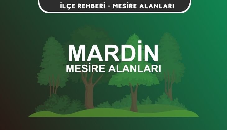 Mardin Mesire Alanları Listesi - Kamp ve Piknik Yerleri