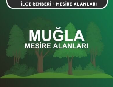 Muğla Mesire Alanları Listesi - Kamp ve Piknik Yerleri
