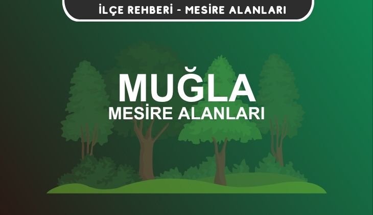 Muğla Mesire Alanları Listesi - Kamp ve Piknik Yerleri