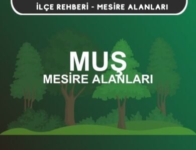 Muş Mesire Alanları Listesi - Kamp ve Piknik Yerleri