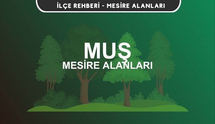 Muş Mesire Alanları Listesi - Kamp ve Piknik Yerleri