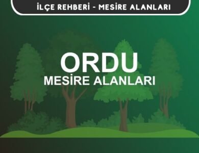 Ordu Mesire Alanları Listesi - Kamp ve Piknik Yerleri