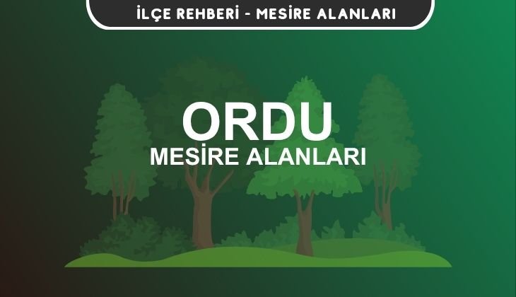 Ordu Mesire Alanları Listesi - Kamp ve Piknik Yerleri