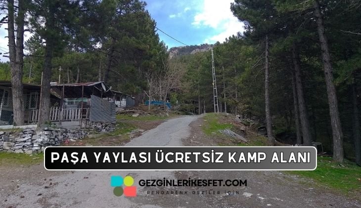 Paşa Yaylası Kamp Alanı