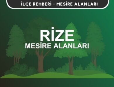 Rize Mesire Alanları Listesi - Kamp ve Piknik Yerleri