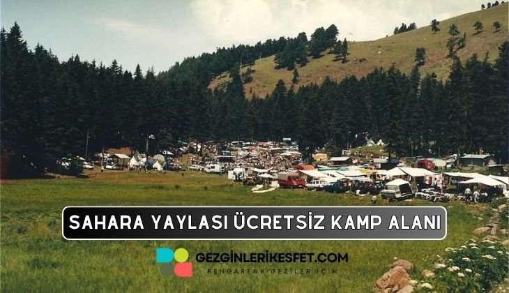 Sahara Yaylası Kamp Alanı