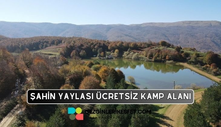 Şahin Yaylası Kamp Alanı