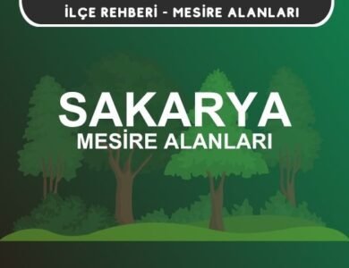 Sakarya Mesire Alanları Listesi - Kamp ve Piknik Yerleri