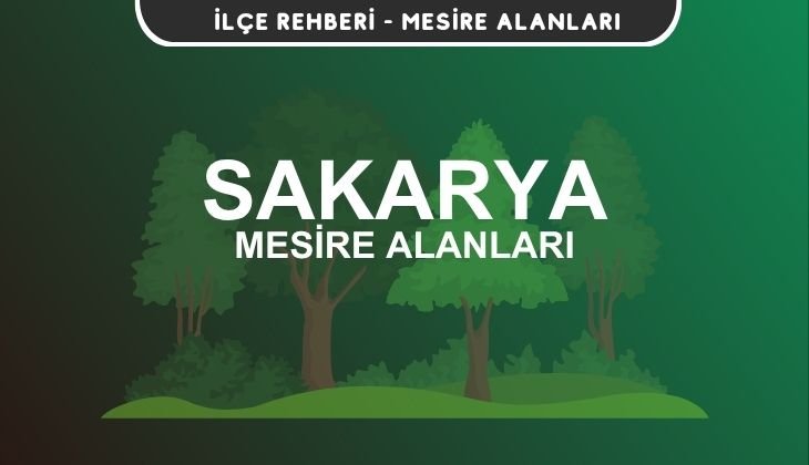 Sakarya Mesire Alanları Listesi - Kamp ve Piknik Yerleri
