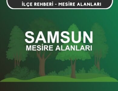 Samsun Mesire Alanları Listesi - Kamp ve Piknik Yerleri