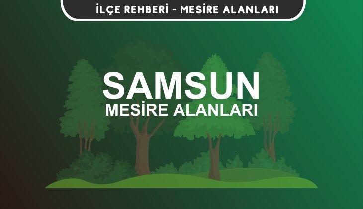 Samsun Mesire Alanları Listesi - Kamp ve Piknik Yerleri