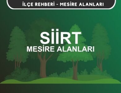 Siirt Mesire Alanları Listesi - Kamp ve Piknik Yerleri