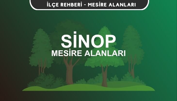 Sinop Mesire Alanları Listesi - Kamp ve Piknik Yerleri