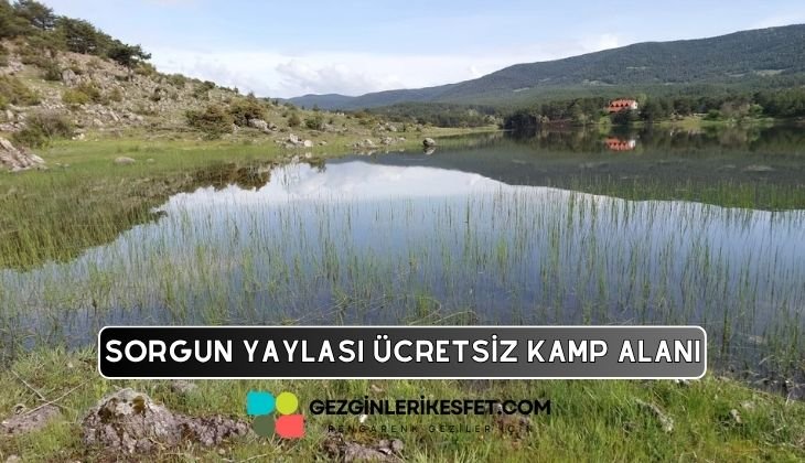 Sorgun Yaylası Kamp Alanı