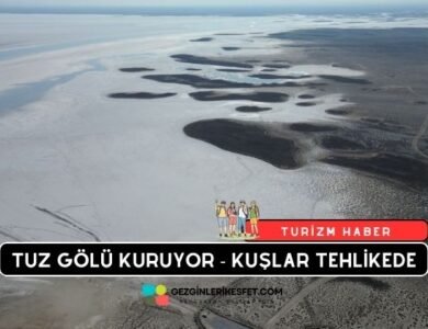 Tuz Gölü Kuruyor - Binlerce Kuş Türü Tehlikede
