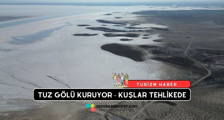 Tuz Gölü Kuruyor - Binlerce Kuş Türü Tehlikede