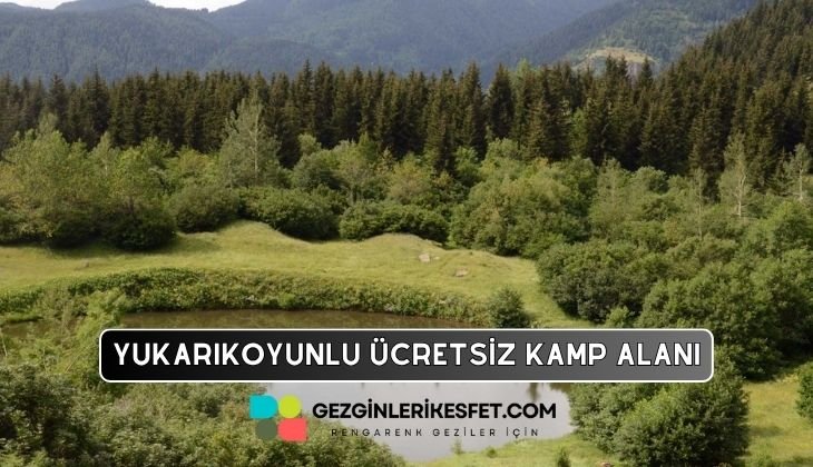 Yukarıkoyunlu Kamp Alanı