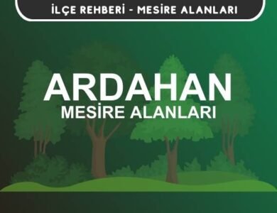Ardahan Mesire Alanları Listesi - Kamp ve Piknik Yerleri
