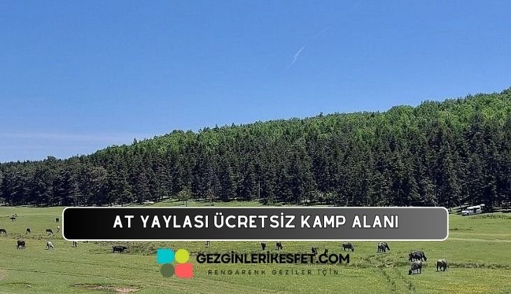 At Yaylası Kamp Alanı