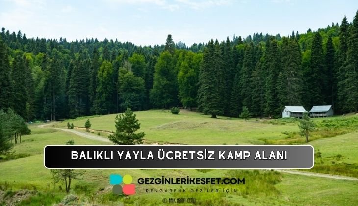 Balıklı Yayla Kamp Alanı